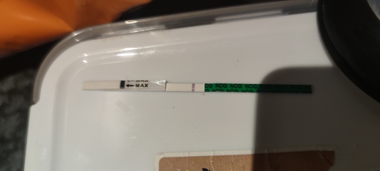 Test line