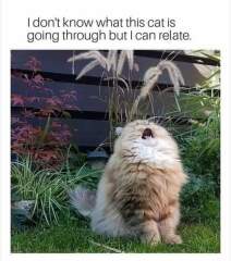 its January and miserable. Please post something that always makes you laugh.