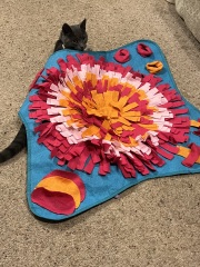 Tales and Tails and NMCs  -  the Excellent Cats March On