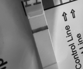 A line eye enthusiast #2