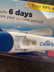 Clear blue test. Evap line or positive