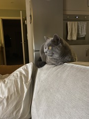 Thread 12 - TalkLair: “I say we take off and nuke the entire site from orbit. It's the only way to be sure.”