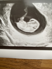 Due September 2024 PART 2 💛🧡💚💙💜