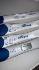 Clear blue test. Evap line or positive