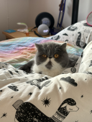 Potential new inmate at Toddler Towers.