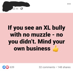To think we're about to see an influx of XL Bully attacks after a rehoming free for all?