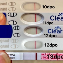 Faint lines.. chemical pregnancy?