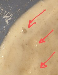 Frugal Friends Facing Forward with Fortitude