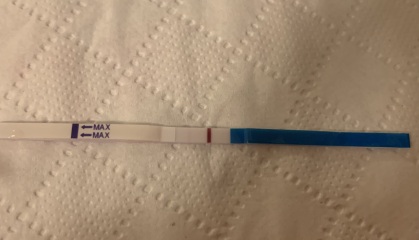 Pregnancy after miscarriage, can you see it?