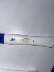 IVF / ICSI January 2024