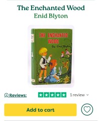 AIBU - or are the Faraway Tree books utterly insane?