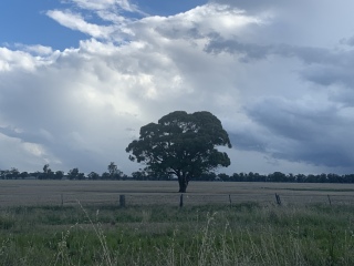 The Great Recovery! After cancer what next?