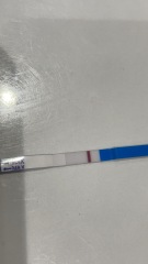 12 DPO vvvfl?