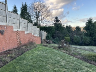 Garden advice - photo inc