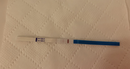 Pregnancy after miscarriage, can you see it?