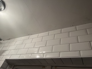 Is this damp/mould or something worse?