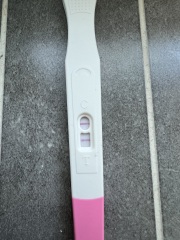 Tracking ovulation