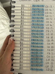 No positive OPK CD 27