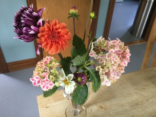 Is anyone ready to be excited about dahlias yet?