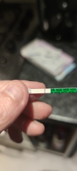 Test line