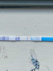 Warning photo! Is this a miscarriage or a big blood clot