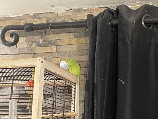 To be scared that I’m still marked by the crows?