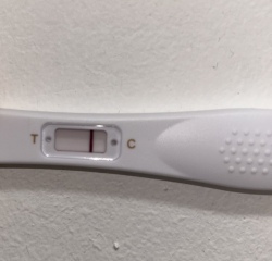 Line eyes? CD 23