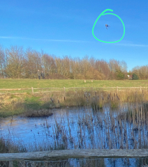 Help identify this UFO from my walk today (photos attached)?