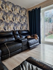 Tidy up shithole house weekend pics included