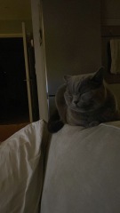 Thread 12 - TalkLair: “I say we take off and nuke the entire site from orbit. It's the only way to be sure.”