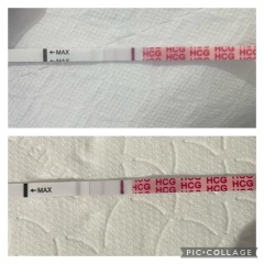 Tests not getting darker