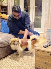 This is my DD’s rescue dog-and here’s the game.