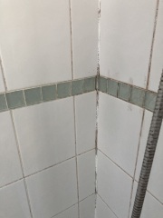 It's about grout! Pic attached