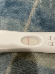 Clear blue test. Evap line or positive