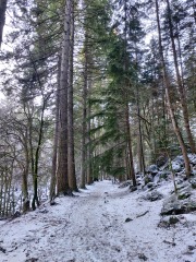 Any Witches Here?- Part 19