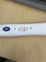 Does this look like the start of a great new year …