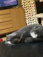 Potential new inmate at Toddler Towers.