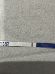 Pregnancy testing 