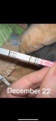 Lines eyes - are these chemical pregnancies or Evaps?