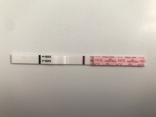TTC FOR JANUARY