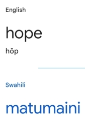 Changing the name of an adopted child