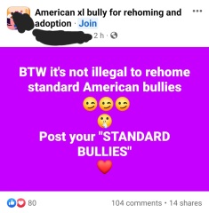 To think we're about to see an influx of XL Bully attacks after a rehoming free for all?