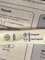 Help - Am I crazy or is this a BFP? So faint for 17 DPO