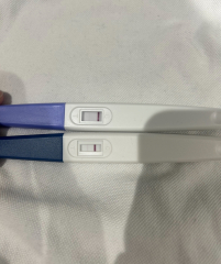 12 DPO faulty test?