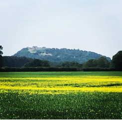 To ask you to show me your beautiful parts of the country