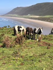 To ask you to show me your beautiful parts of the country