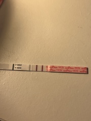 Test looks lighter 5w 1d