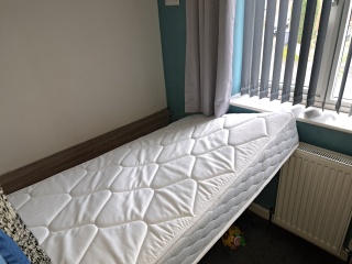 Mould/damp advice