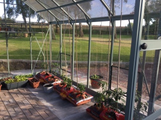 It's the Greenhouse Thread 2024
