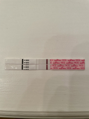 A line eye enthusiast #2